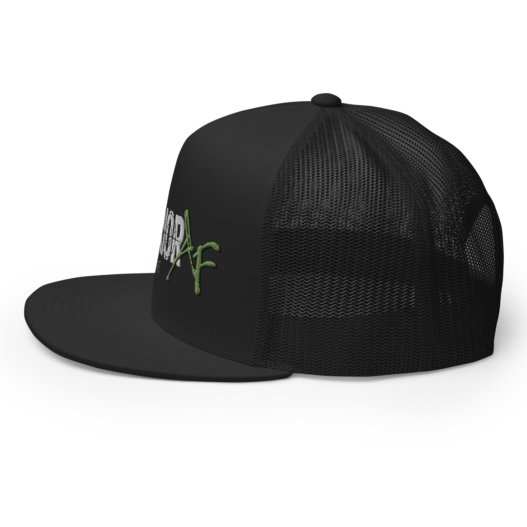 Snapback Hat - Warrior AF: Battleborne Collection