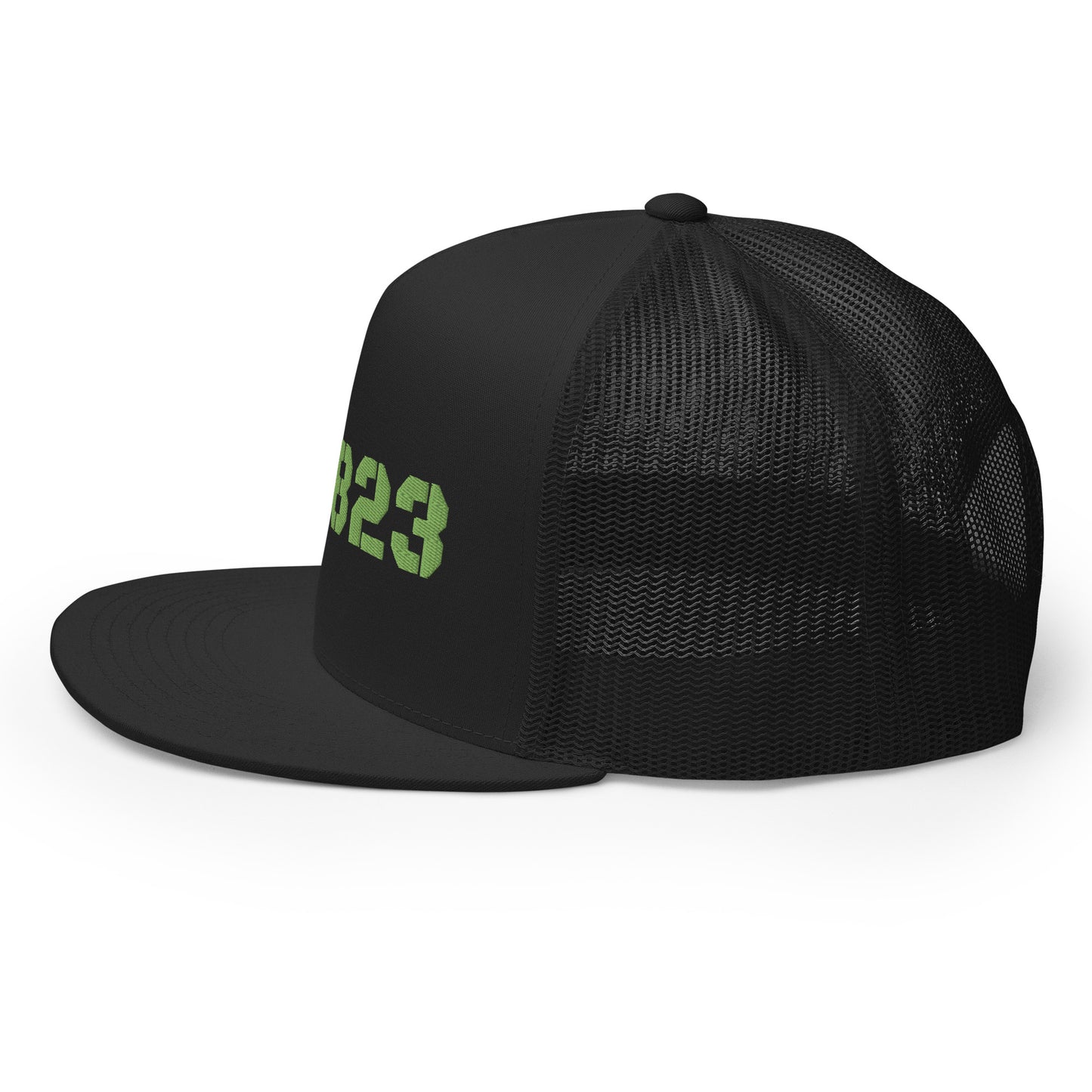 Warrior AF: 823 SFS OG823 SNAPBACK