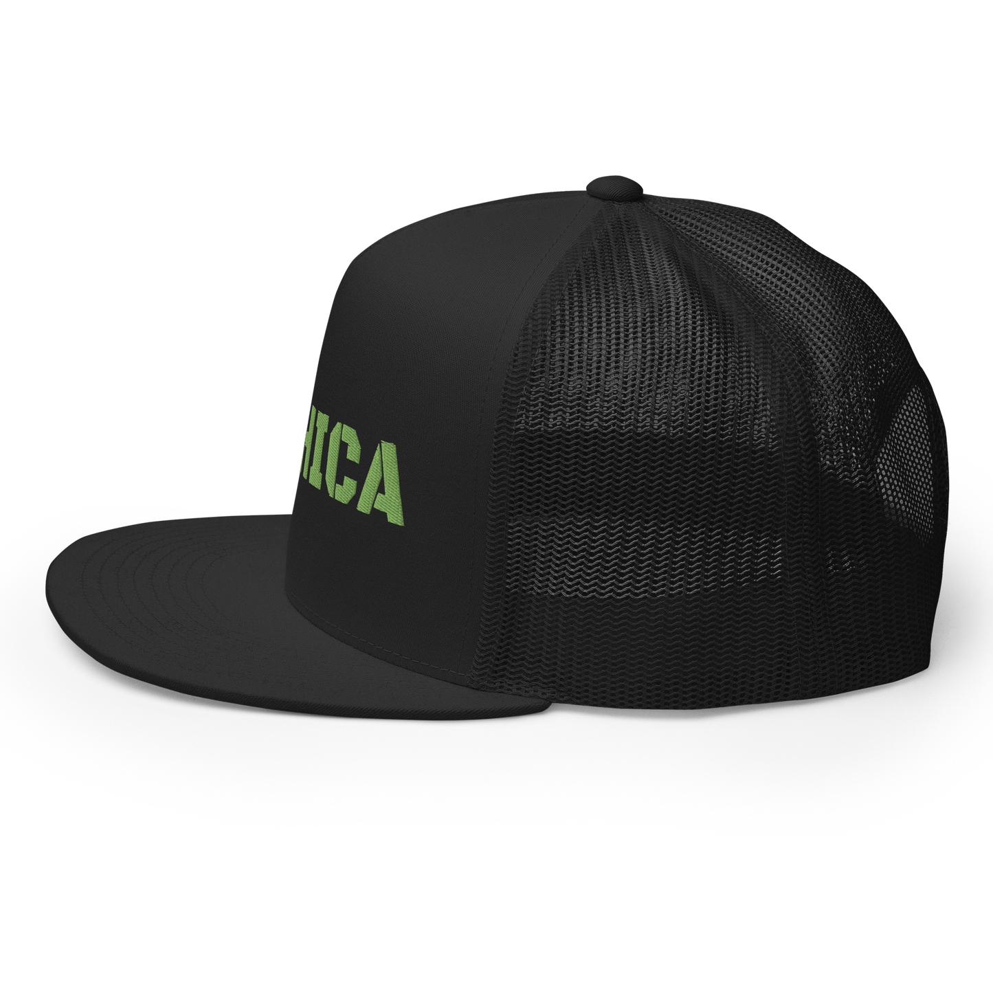 Warrior AF: BOHICA SNAPBACK